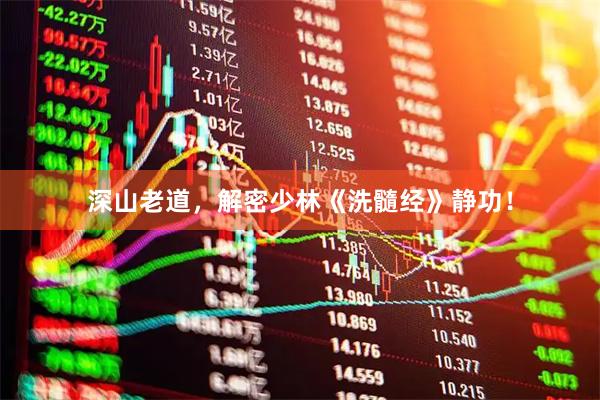 深山老道，解密少林《洗髓经》静功！