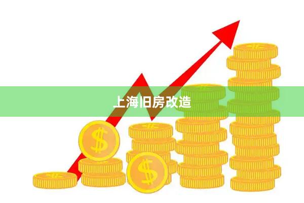上海旧房改造