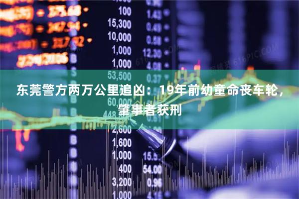 东莞警方两万公里追凶：19年前幼童命丧车轮，肇事者获刑