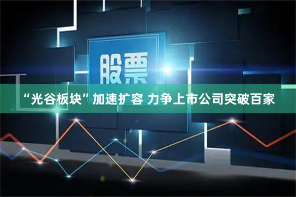 “光谷板块”加速扩容 力争上市公司突破百家
