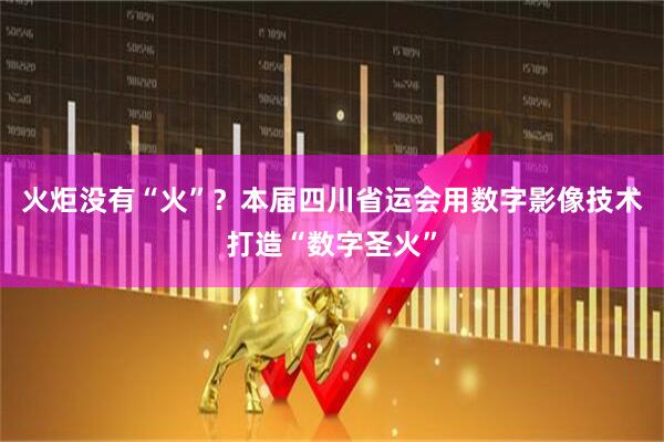 火炬没有“火”？本届四川省运会用数字影像技术打造“数字圣火”