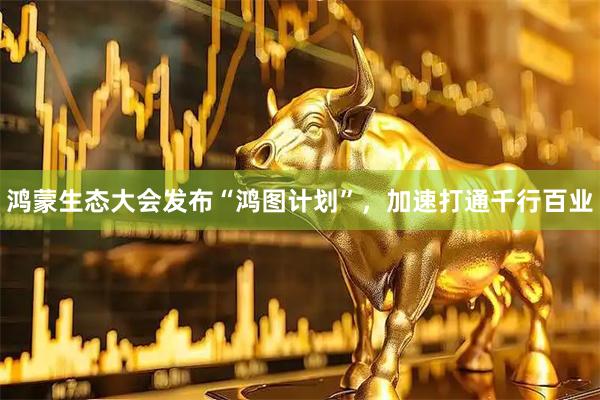 鸿蒙生态大会发布“鸿图计划”,加速打通千行百业