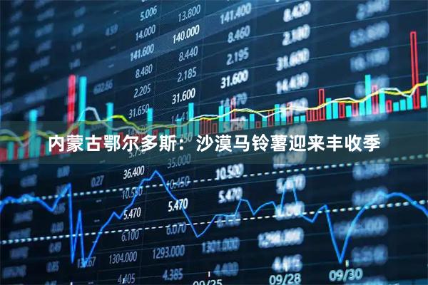 内蒙古鄂尔多斯：沙漠马铃薯迎来丰收季